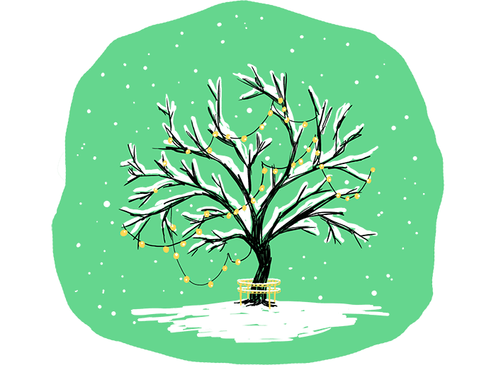Illustration of a tree with fresh snow and string lights.