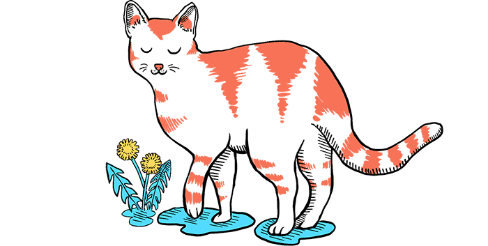 Illustration of a cat.