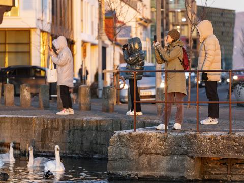 Fólk fylgist með fuglum niðri við Tjörnina í Reykjavík. 
