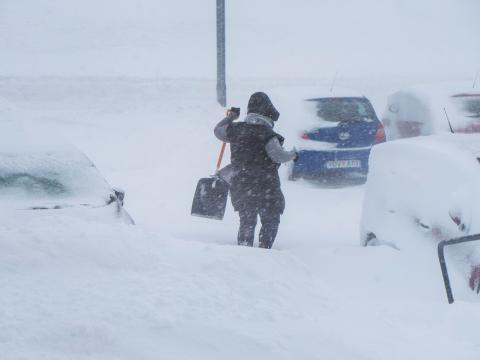 Konar með skóflu veður skafla.