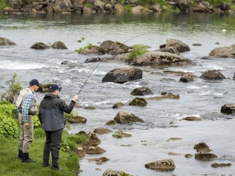 Reykvíkingur ársins 2023 Mikael Marinó Rivera rennir fyrir laxi í Elliðaánum í morgun.