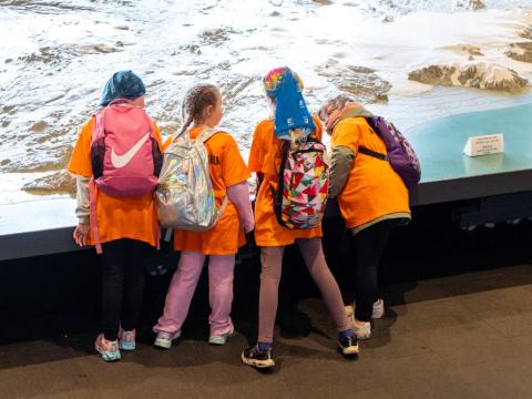 Börn skoða Íslandskortið í Tjarnarsal Ráðhússins.