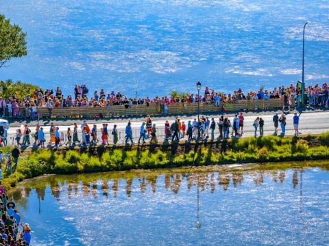 A group of people walking by the Pond in good summer weather