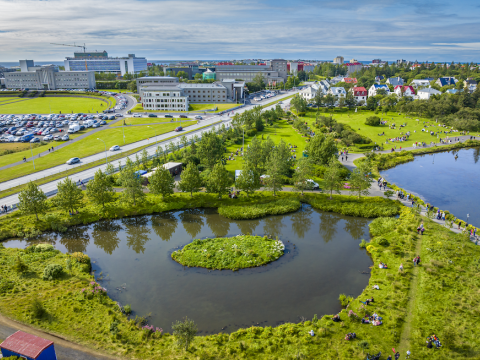 Aerial view of a pond, vegetation, buildings, and a road.