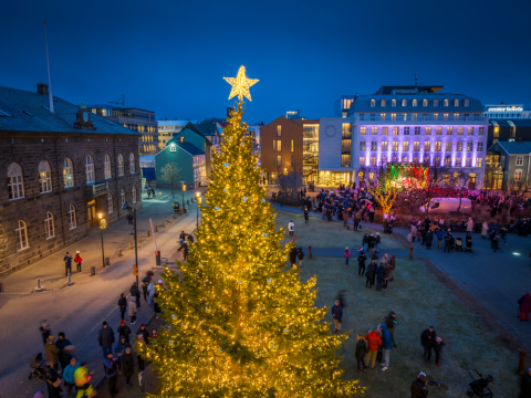 The Oslo Christmas tree lit up on Austurvöllur square. (Photog. Ragnar Th. Sigurðsson)