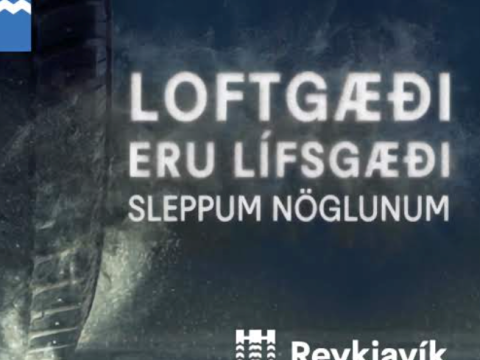 Nagladekk 2024