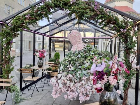 flowers, evergreen plants, glass greenhouse, chairs and tables.