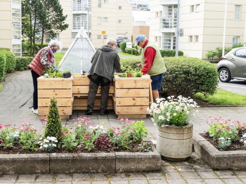 Planter boxes designed to ensure access for everyone.