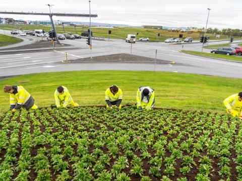 Regnfataklædd ungmenni planta í beð við gatnamót hjá flugvelli og göngubrú. Sumar, rigning, umferð í bakgrunni.