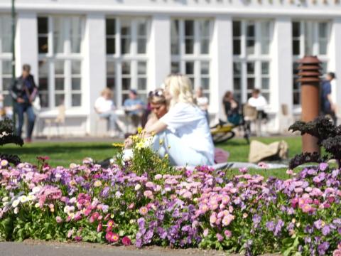 The summer flowers add color to public life at Austurvöllur.