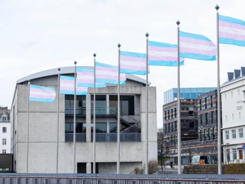 Transgender flags at Reykjavík City Hall on Transgender Day of Remembrance.