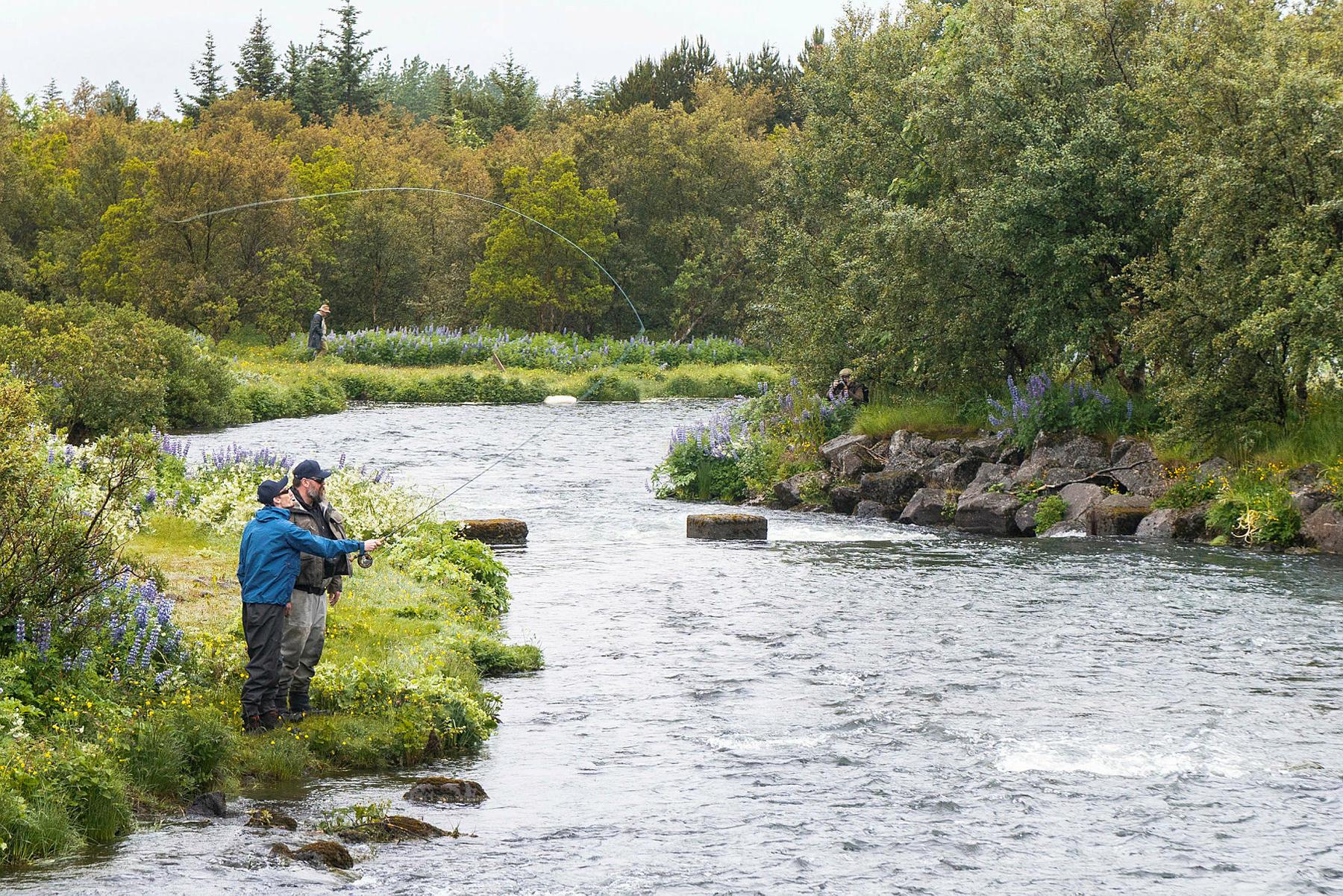 Kamila Walijewska, annar Reykvíkingur ársins, rennir fyrir lax í Elliðaánum