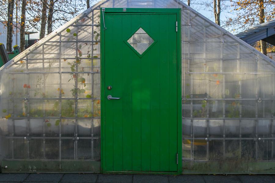 A greenhouse on Reynisholt's grounds.
