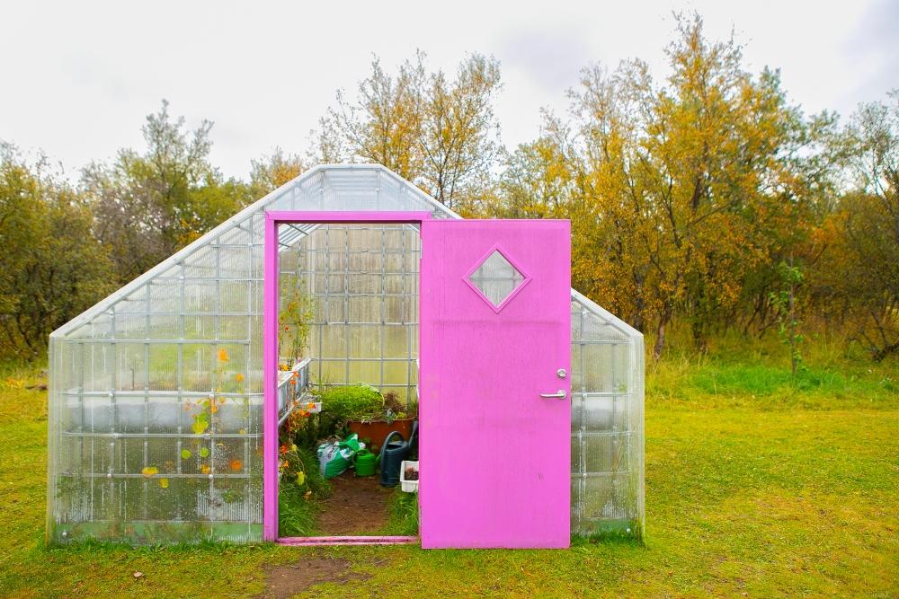 A greenhouse with a pink door at Steinahlíð preschool