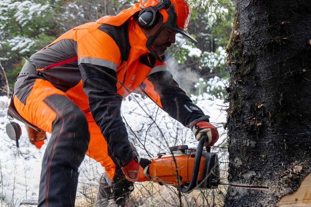 Borgarstjóri mundar vélsögina til að fella Oslóartréð