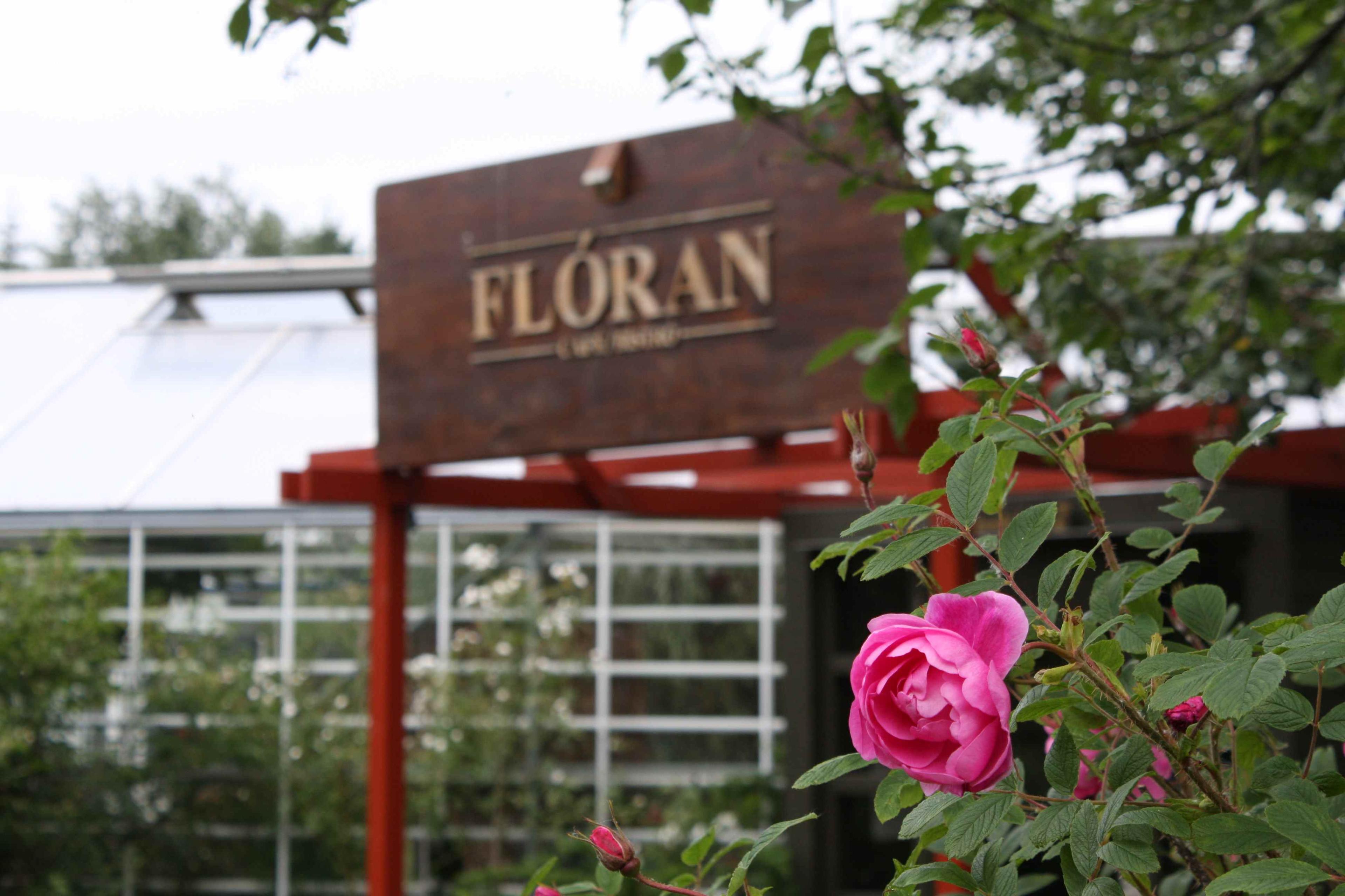 Kaffi Flóra og blóm