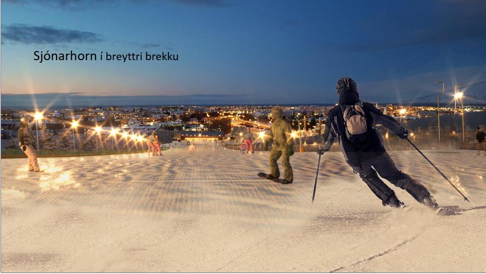 Útsýni vetur