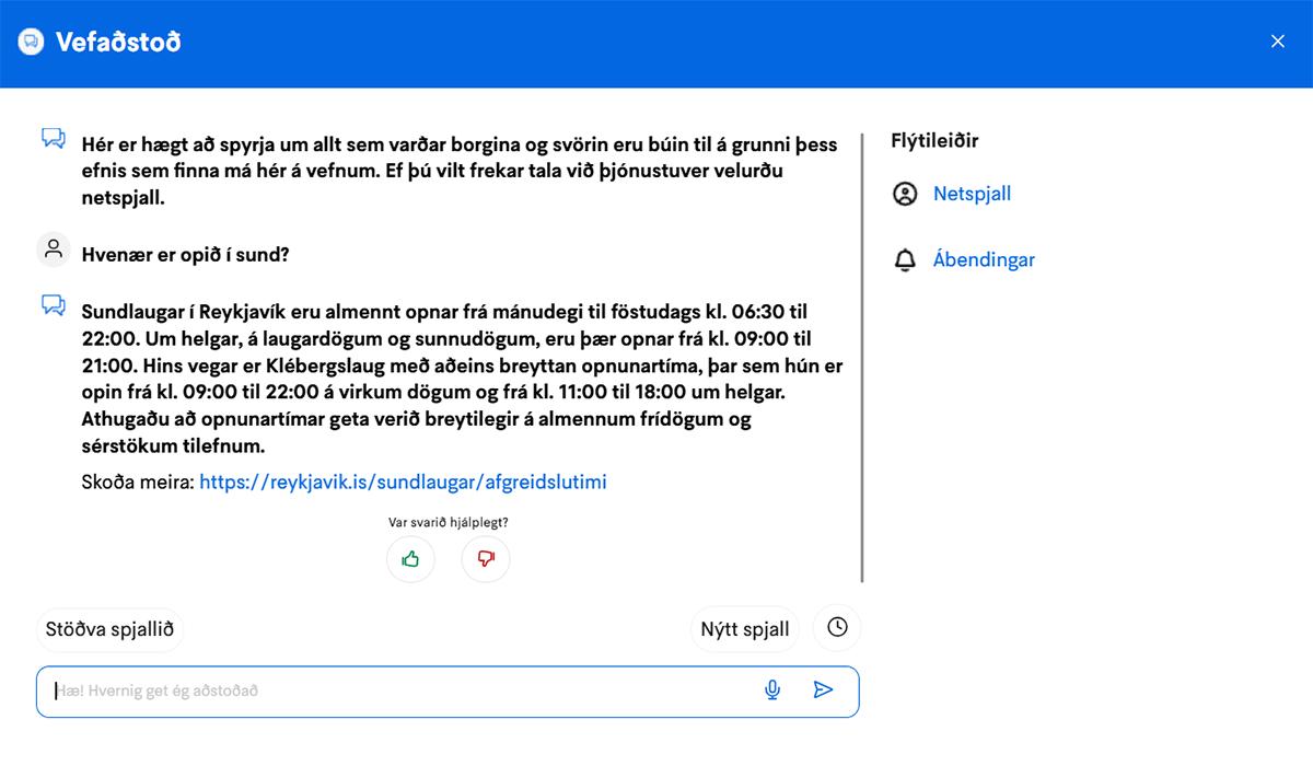 Skjáskot af samtali í vefaðstoð.