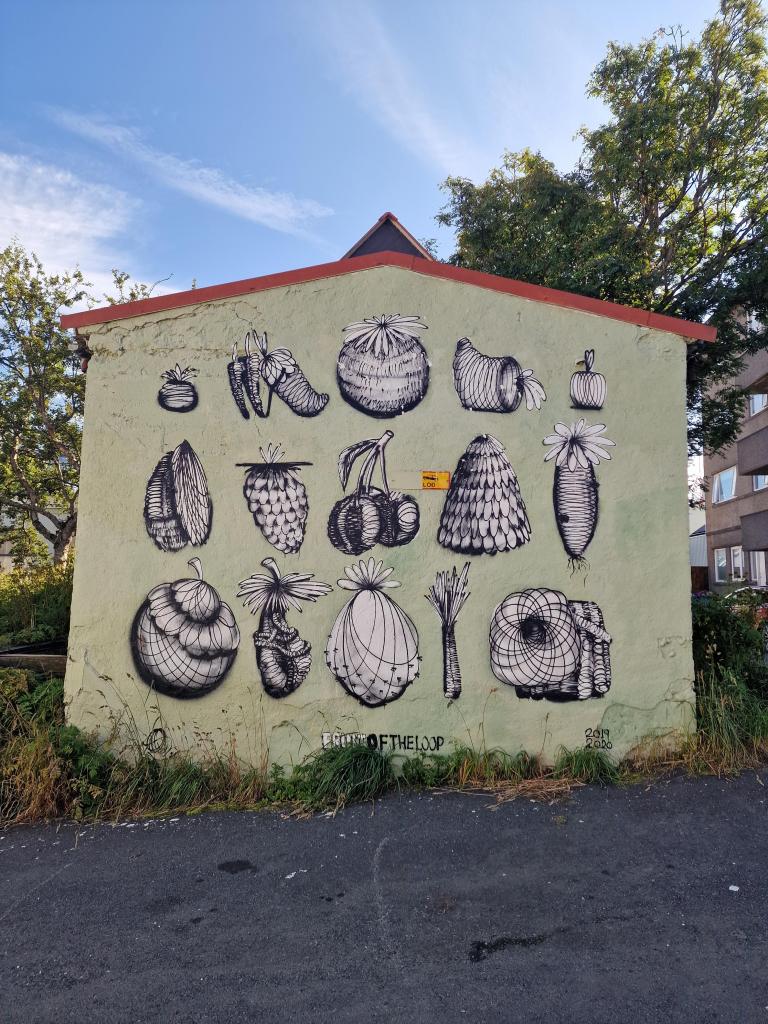Mural at Veghúsastígur 1 by Qwick (Narfi).