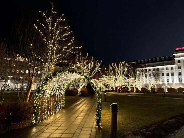 Austurvöllur beautifully decorated with Christmas lights.