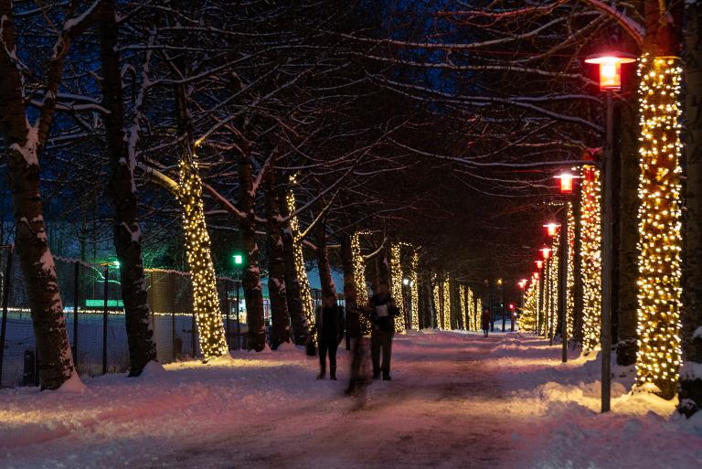 Christmas lights on walking path in Laugardalur, tree tunnel, darkness, lights on tree trunks, people walking
