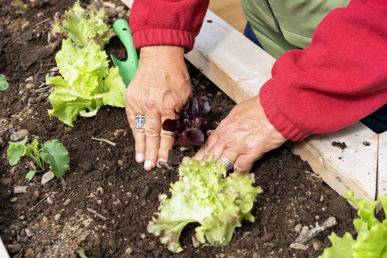 The planters are simple and easy to work with.
