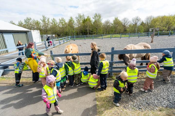 The children stopped to greet the horses.