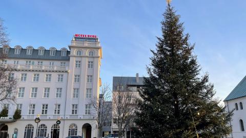 Jólaljósin komin á Oslóartréð á Austurvelli