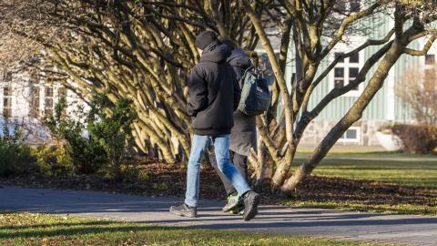 Tveir menn ganga í Reykjavík í haustsólinni