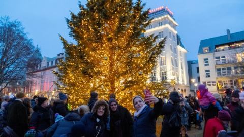 Oslóartréð á Austurvelli