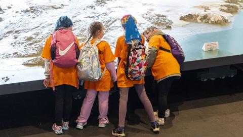 Fjórar stelpur skoða Íslandskortið í Ráðhúsi Reykjavíkur. 