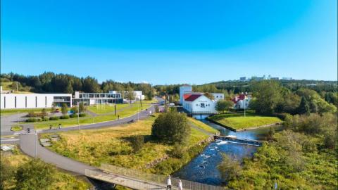 Elliðaárdalur