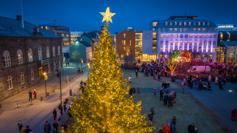 The Oslo Christmas tree lit up on Austurvöllur square. (Photog. Ragnar Th. Sigurðsson)