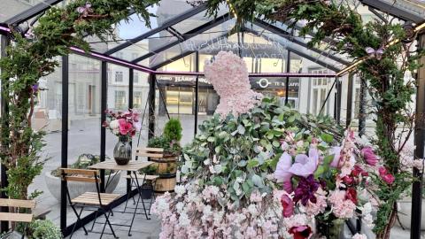 flowers, evergreen plants, glass greenhouse, chairs and tables.