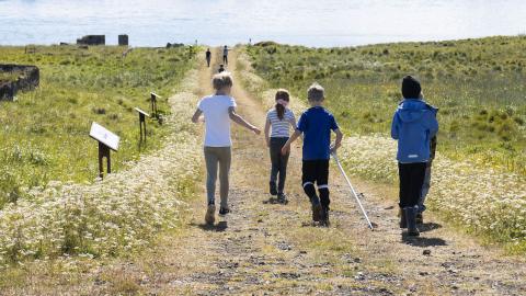 A group of children running along a country road