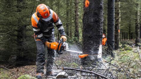 Worker in safety gear cutting down a tree in Öskjuhlíð