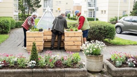 Planter boxes designed to ensure access for everyone.