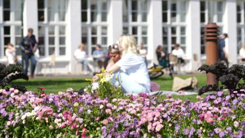 The summer flowers add color to public life at Austurvöllur.