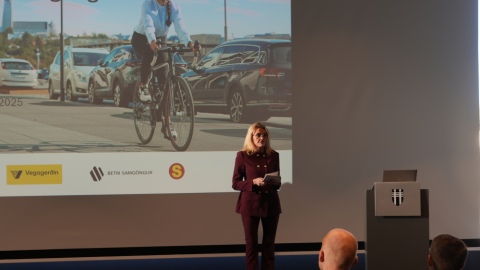Heiða Björg Hilmisdóttir