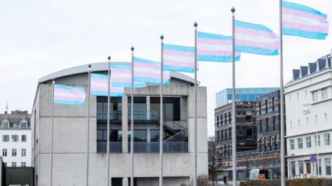 Transgender flags at Reykjavík City Hall on Transgender Day of Remembrance.