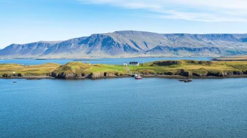 Viðey in summer.