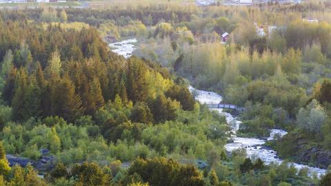 Overview image of forest vegetation and rivers.