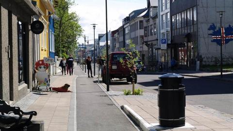Neighborhood watch is a joint initiative of Reykjavík City, the capital area police, and local residents, centered on neighbors working together to prevent crime.