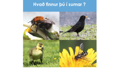 ""