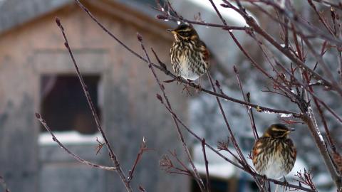 ""